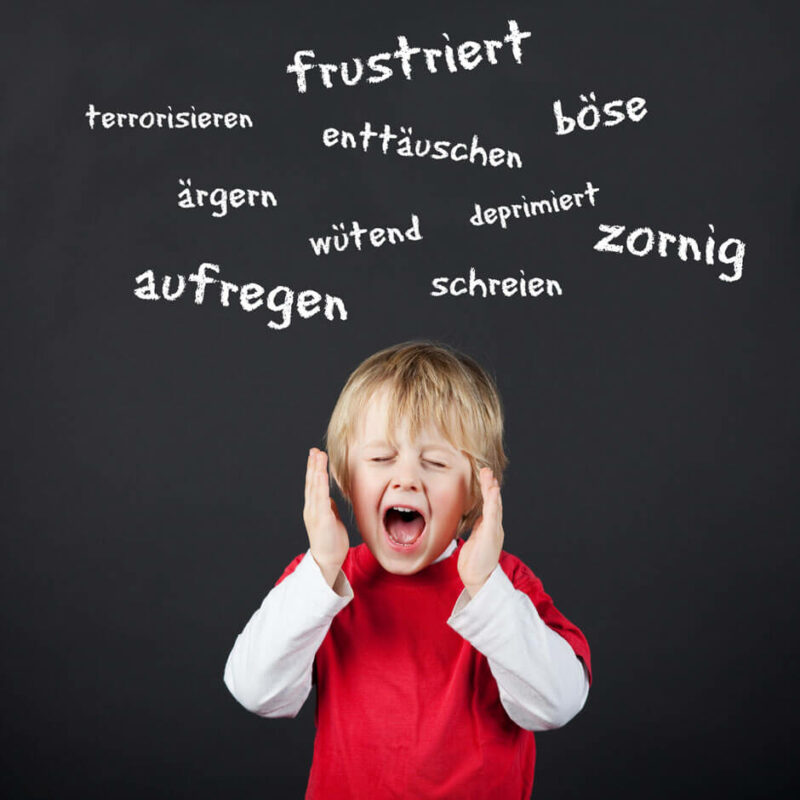 Umgang Mit Sozial Emotional Gestörten Kindern Soziale Emotionale Entwicklung – Frühförderstelle im Kreis Unna